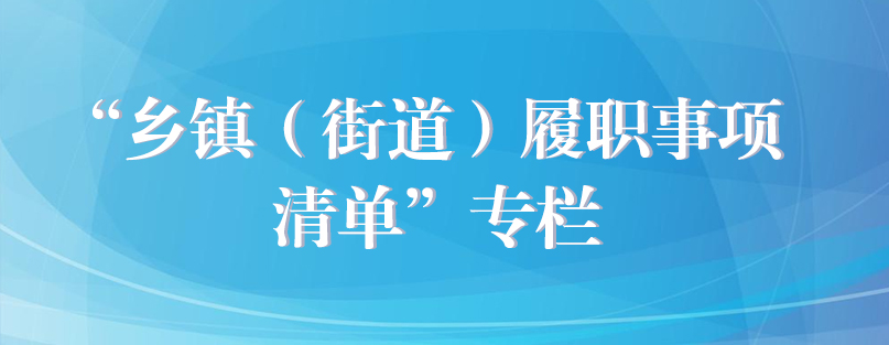“鄉鎮(街道)履職事項清單”專欄